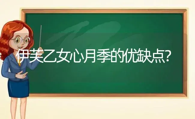 伊芙乙女心月季的优缺点？ | 多肉养殖