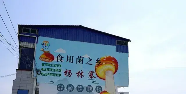 湖南湘阴县杨林寨乡打响“食用菌之乡”靓丽名片