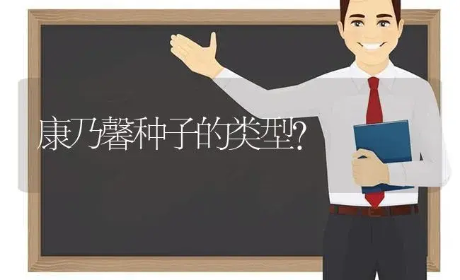 康乃馨种子的类型？ | 绿植常识