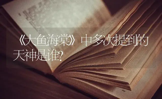 蝴蝶兰第二名又叫什么名字？ | 绿植常识