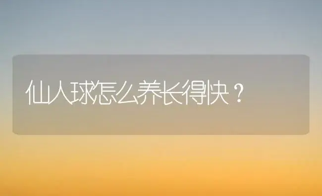 仙人球怎么养长得快？ | 家庭养花