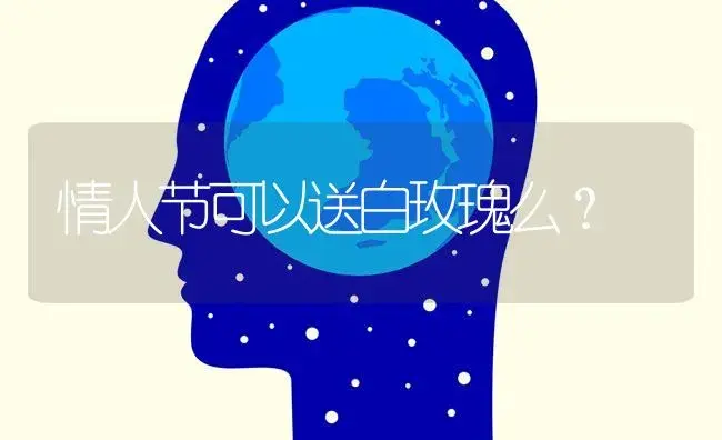 情人节可以送白玫瑰么？ | 绿植常识