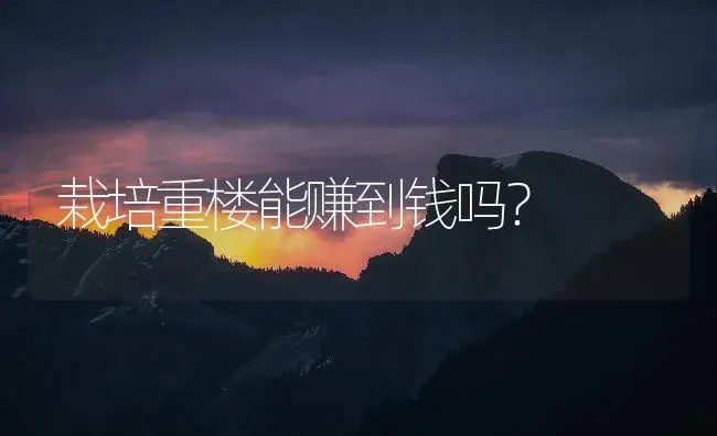 栽培重楼能赚到钱吗？ | 药材种植