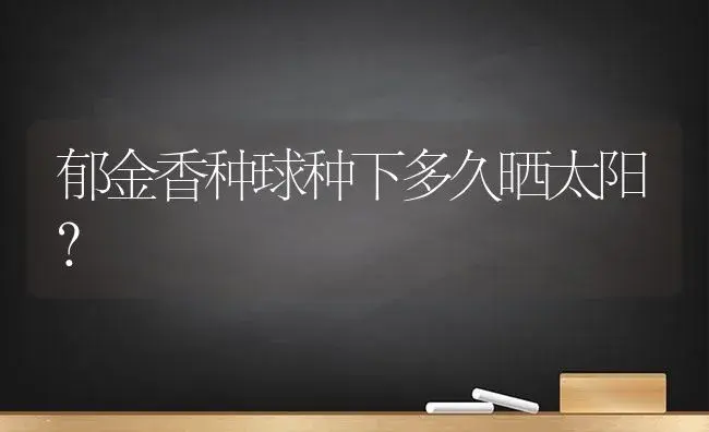 郁金香种球种下多久晒太阳？ | 绿植常识