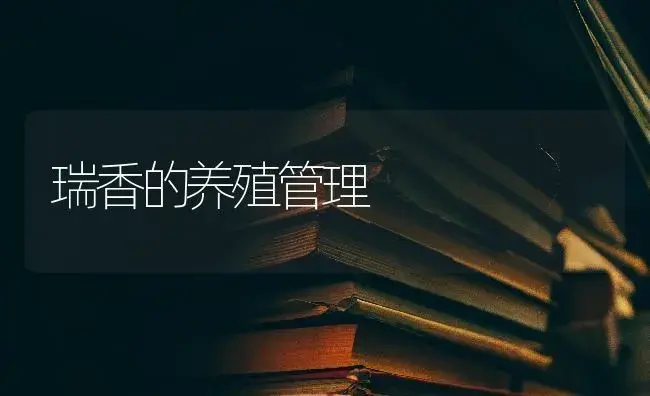 瑞香的养殖管理 | 特种种植