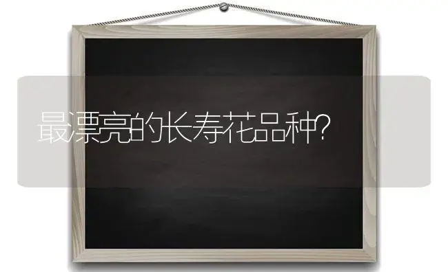 最漂亮的长寿花品种？ | 多肉养殖