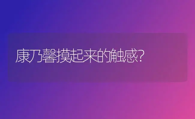 康乃馨摸起来的触感？ | 绿植常识