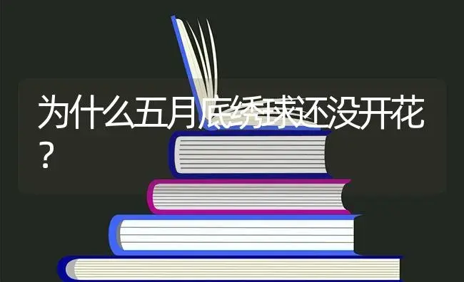 为什么五月底绣球还没开花？ | 绿植常识