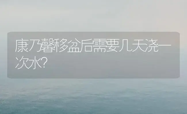 康乃馨移盆后需要几天浇一次水？ | 绿植常识