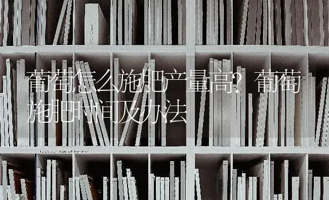 葡萄怎么施肥产量高？葡萄施肥时间及办法 | 果木种植