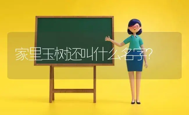 家里玉树还叫什么名字？ | 多肉养殖