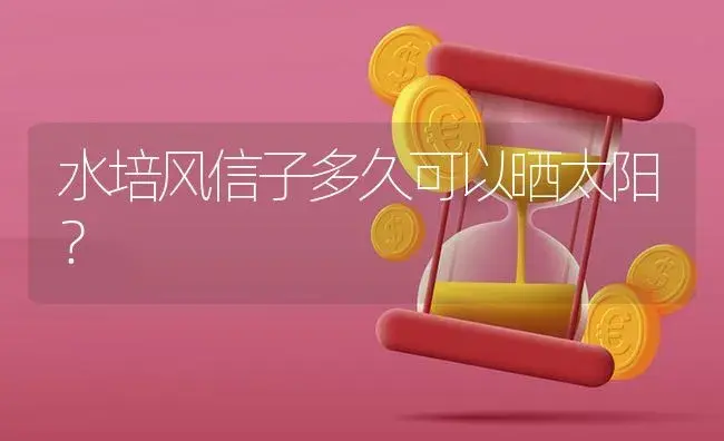 水培风信子多久可以晒太阳？ | 绿植常识