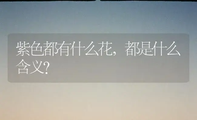 紫色都有什么花，都是什么含义？ | 绿植常识