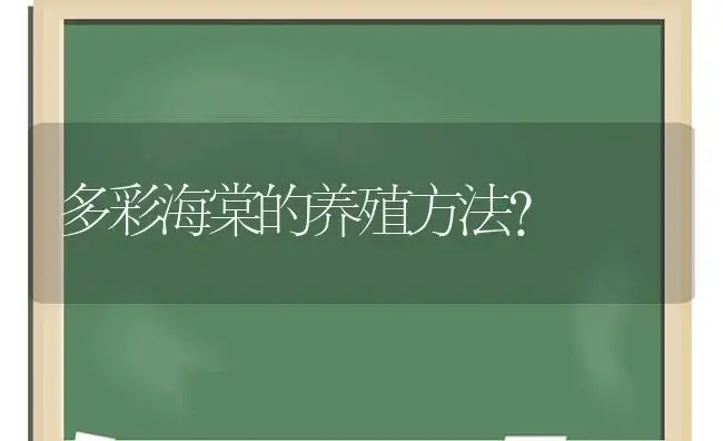 多彩海棠的养殖方法？ | 绿植常识