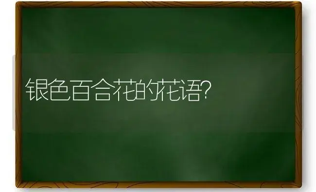 银色百合花的花语？ | 绿植常识