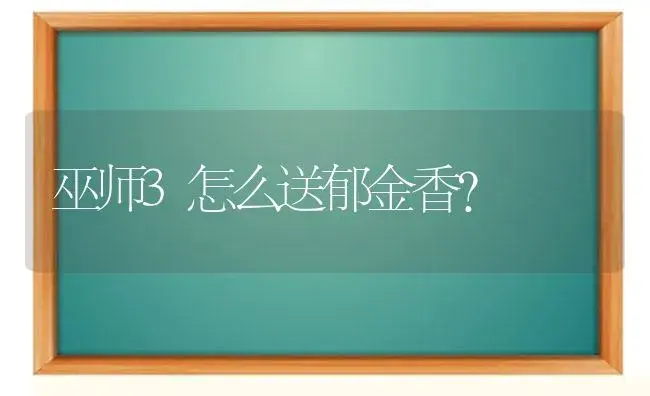 巫师3怎么送郁金香？ | 绿植常识