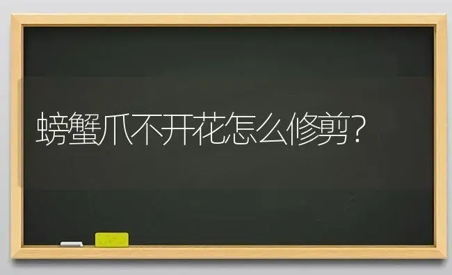 螃蟹爪不开花怎么修剪？ | 多肉养殖