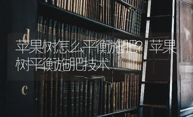 苹果树怎么平衡施肥？苹果树平衡施肥技术 | 果木种植