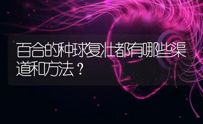 百合的种球复壮都有哪些渠道和方法？ | 特种种植