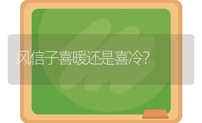 风信子喜暖还是喜冷？ | 绿植常识