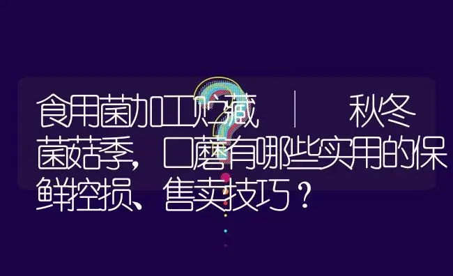 秋冬菌菇季，口蘑有哪些实用的保鲜控损、售卖技巧？ | 菌菇种植