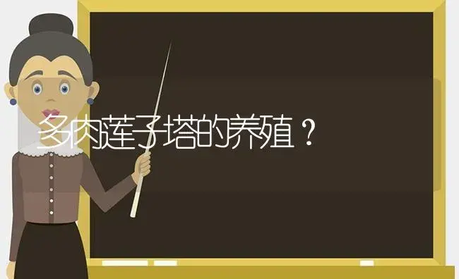 多肉莲子塔的养殖？ | 多肉养殖