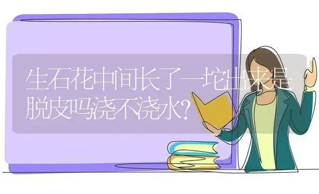 生石花中间长了一坨出来是脱皮吗浇不浇水？ | 多肉养殖