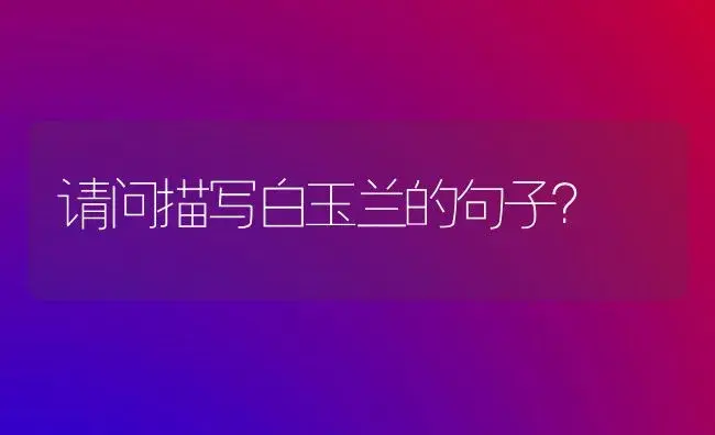 开完花百合花的养殖方法夏季？ | 绿植常识