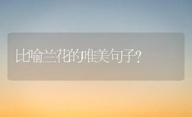 比喻兰花的唯美句子？ | 绿植常识