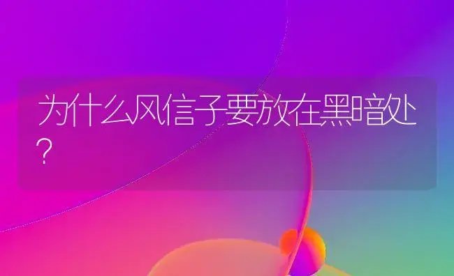 为什么风信子要放在黑暗处？ | 绿植常识