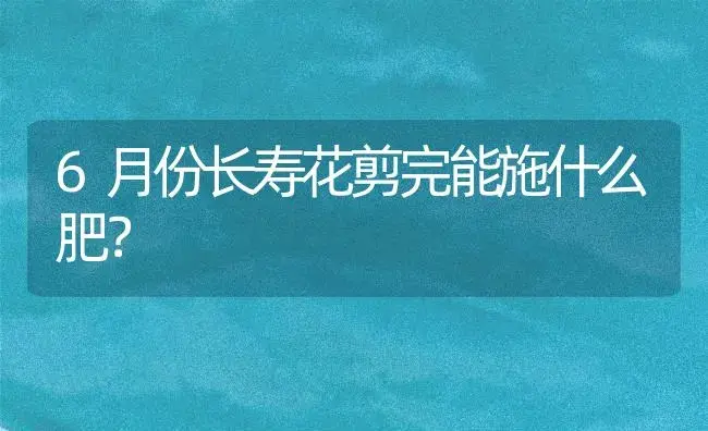 6月份长寿花剪完能施什么肥？ | 多肉养殖