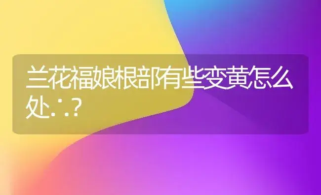 兰花福娘根部有些变黄怎么处∴？ | 多肉养殖