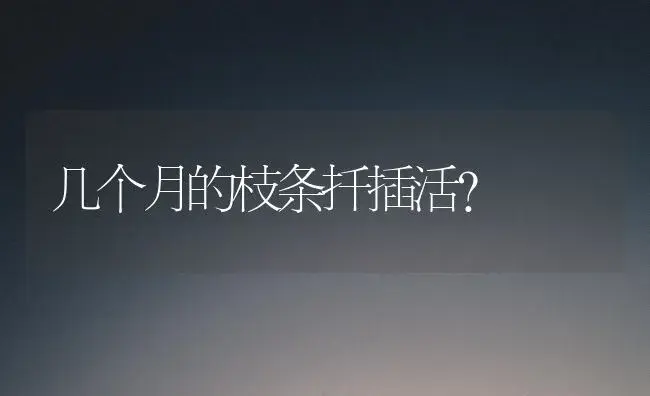 几个月的枝条扦插活？ | 绿植常识