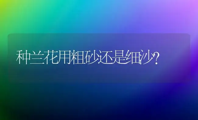 种兰花用粗砂还是细沙？ | 绿植常识