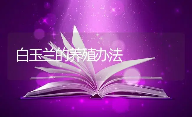 白玉兰的养殖办法 | 特种种植