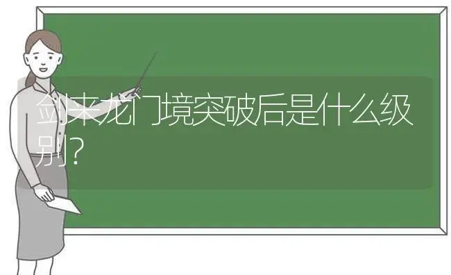 剑来龙门境突破后是什么级别？ | 多肉养殖