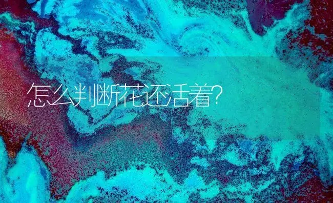 怎么判断花还活着？ | 绿植常识