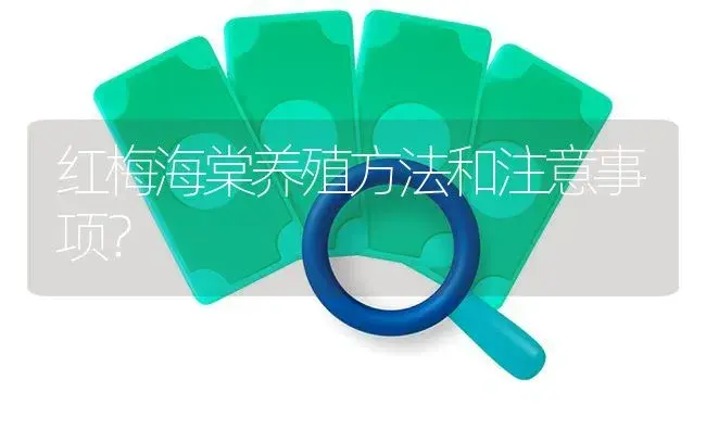 红梅海棠养殖方法和注意事项？ | 绿植常识