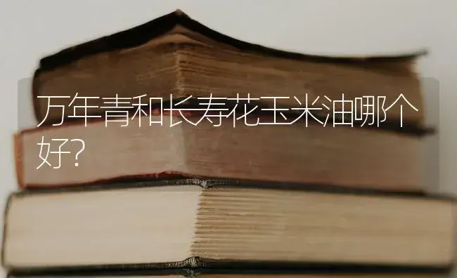 万年青和长寿花玉米油哪个好？ | 多肉养殖