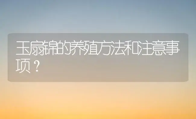 玉扇锦的养殖方法和注意事项？ | 多肉养殖