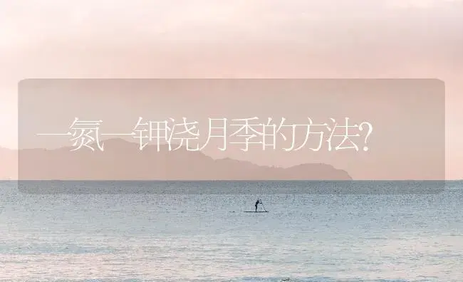 一氮一钾浇月季的方法？ | 绿植常识