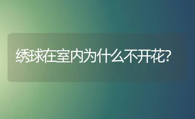 绣球在室内为什么不开花？ | 绿植常识