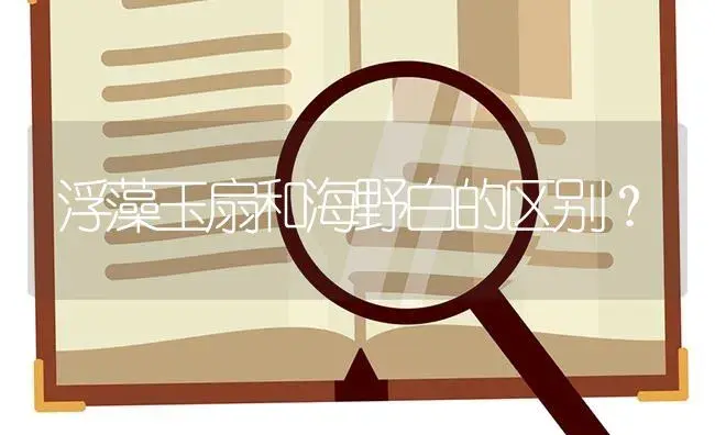 浮藻玉扇和海野白的区别？ | 多肉养殖