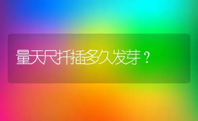 量天尺扦插多久发芽？ | 多肉养殖