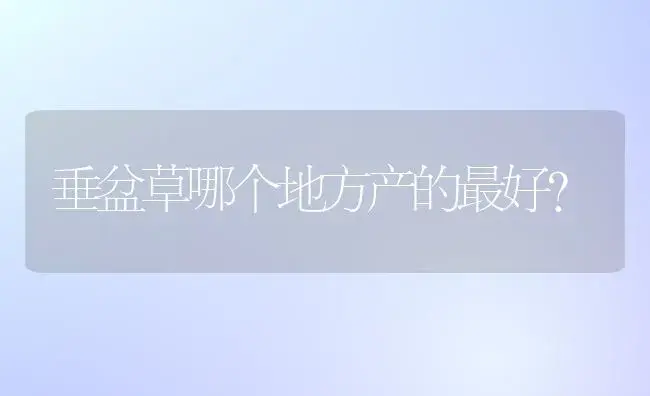 垂盆草哪个地方产的最好？ | 多肉养殖