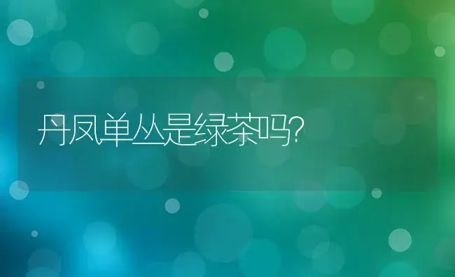 丹凤单丛是绿茶吗？ | 多肉养殖