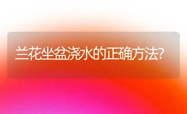 兰花坐盆浇水的正确方法？ | 绿植常识