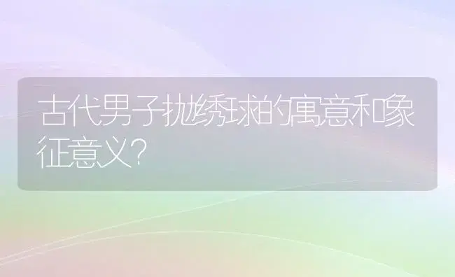 古代男子抛绣球的寓意和象征意义？ | 绿植常识