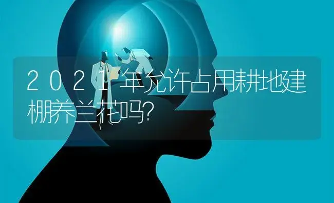 2021年允许占用耕地建棚养兰花吗？ | 绿植常识