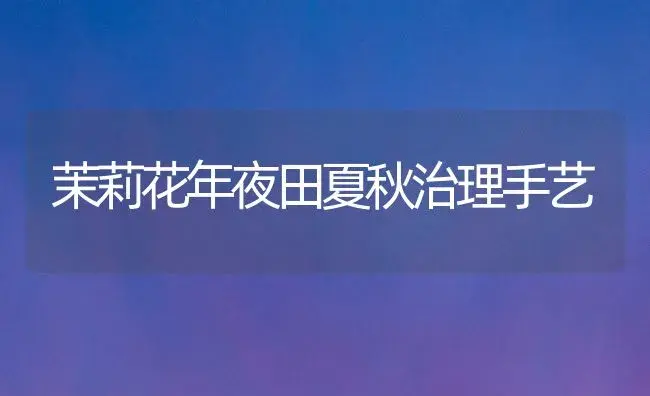 茉莉花年夜田夏秋治理手艺 | 家庭养花